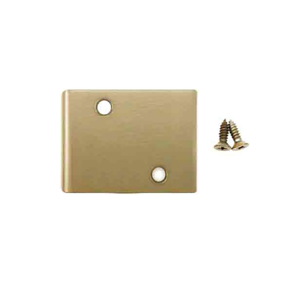 Andersen Jamb Strike Extender, 3" - Gold Dust